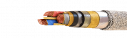 ЦСБЛ-10